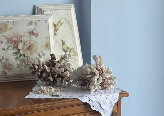 Vlore Apartamento | Blue Brace Apartment