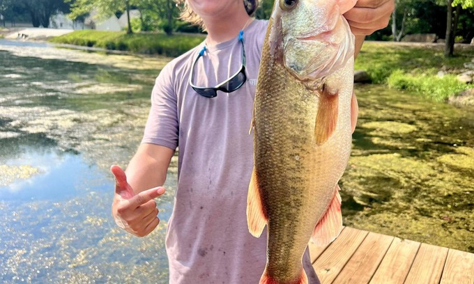 Albertville Cabina | Blue Gill Tiny Cabin on Lake and Indoor Basketball