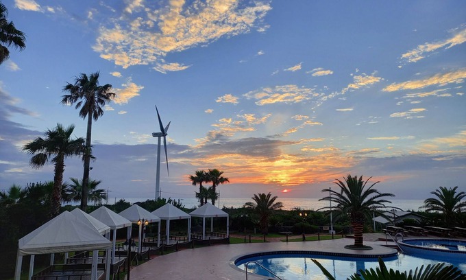 Hallim Hotel | Blue Hawaii Resort