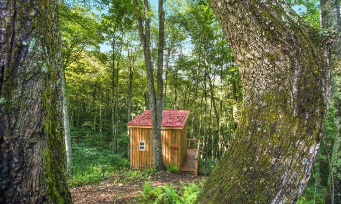Laurel Springs Alquiler De RV | Blue Ridge Parkway / Off-Grid Campground / Two Cabins