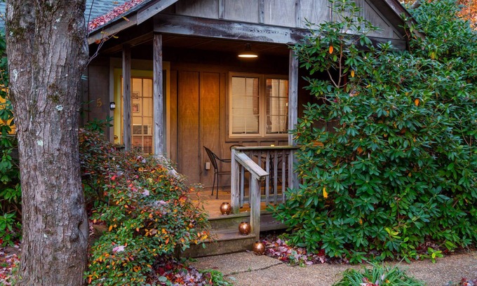 Montebello Cabina | Blue Ridge Parkway cabin--2BR, hot tub, fireplace