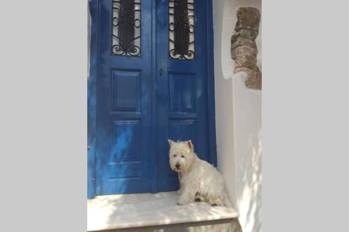 Galini Casa | Blue & White: An Absolute Aegean dream house