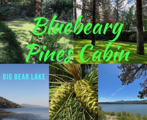 Winter Park Casa | BLUEBEARY PINES-PERFECT ESCAPE-PRIVATE HOT TUB-WALK to SKI SHUTTLES