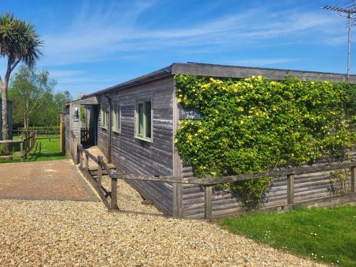 Holsworthy Casa | Bluebell Lodge