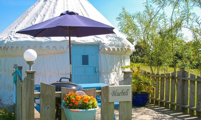 Truro Casa | Bluebell Yurt