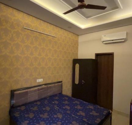 Phagwara Casa | BLUEBERRY PG