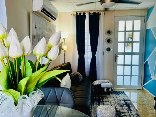 Cangrejo Arriba Apartamento | BlueBreeze - Cozy Apartment Near Airport