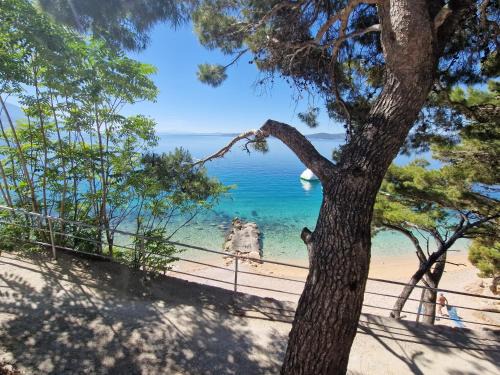 Pisak Apartamento | Bluetique Beach Apartments