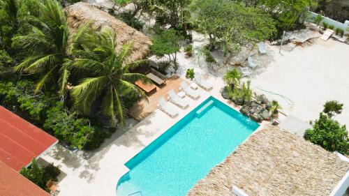 Malmok Villa | Boca Beach House NEW LUX 6 Bed 6 Bath Pool Walk To Beach