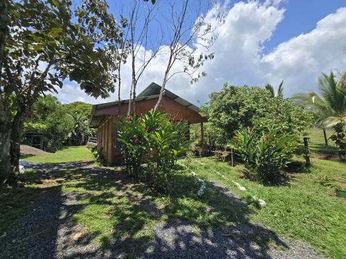 Pital Apartamento | Boca Tapada Rainforest