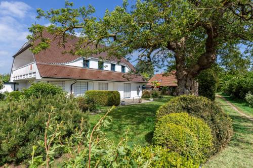 Born auf dem Darss Apartamento | Boddenstern
