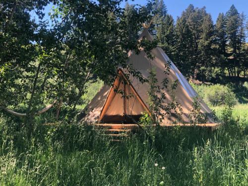 Bozeman Otro | Bodhi Farms