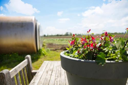 Genderen Otro | Boerderij Camping NixHoeve
