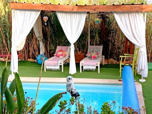 Lagoa e Carvoeiro Apartamento | Bohème Valdareina, Piscine chauffée, Bénagil-Carvoeiro