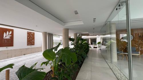 Morón Apartamento | BOJ Pellegrini