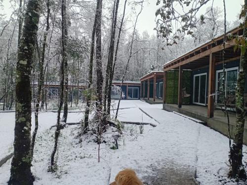 Pucon Casa | Boker Tov Pucón
