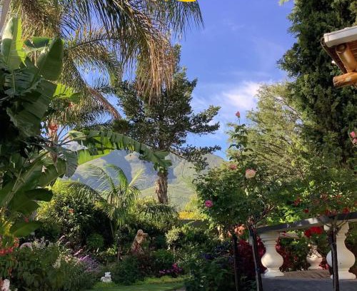 George Casa | Bollinger Guest House