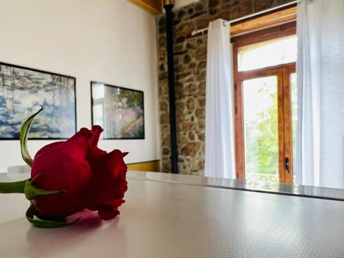 Apice Cama Y Desayuno | Bombrelais