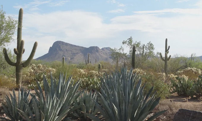 Picture Rocks West Casa | Book over 30 days and no taxes plus 20% discount!