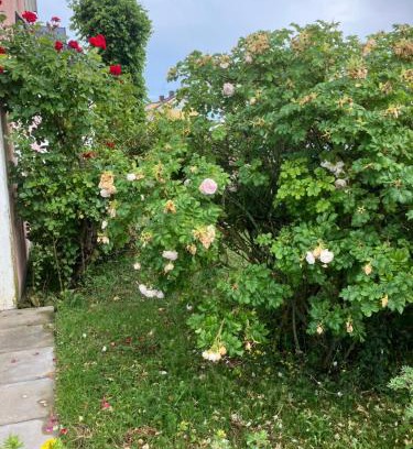 Borgholm Apartamento | Borgholm Centralt