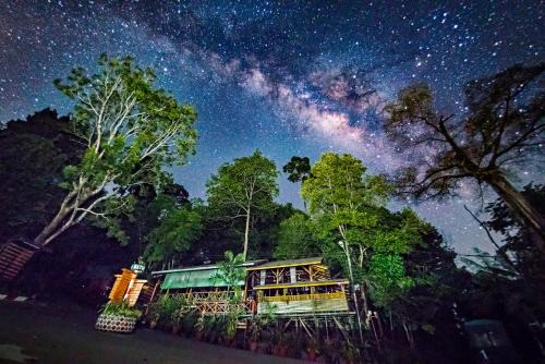 Miri Complejo | Borneo Tropical Rainforest Resort