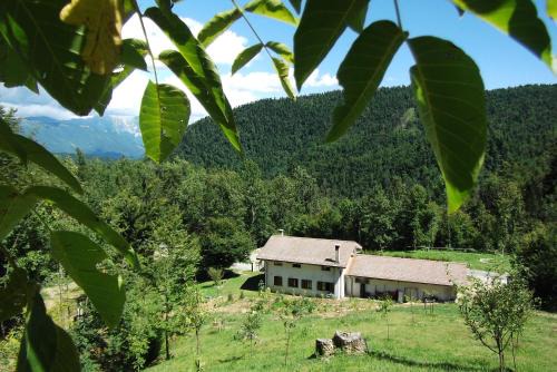 Taipana Cama Y Desayuno | Bosco delle Rune .un angolo di paradiso