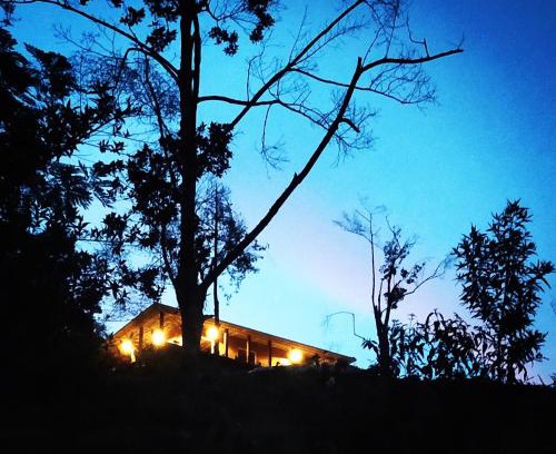 San Carlos Casa | Bosque Místico