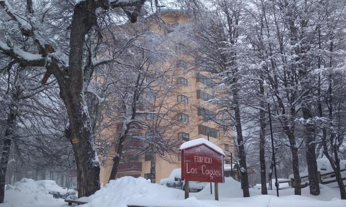 Pinto Apartamento | Bosque Nevado