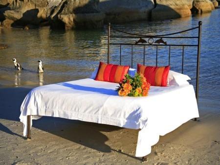 Simon's Town Cama Y Desayuno | Boulders Beach Hotel, Cafe and Curio shop