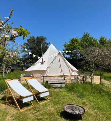 Ottery St Mary Otro | Bowhayes Farm - Camping & Glamping - Bell Tents - Cider Orchard