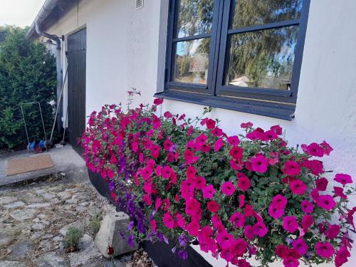 Brosarp Apartamento | Brösarp Källagården Lilla Gårdslägenheten