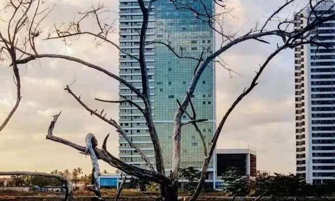 Barra de Jangada Apartamento | Luxury Paiva Flat