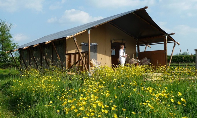 Glastonbury Cabina | Braeburn, set in a peaceful orchard just ten minutes from Glastonbury