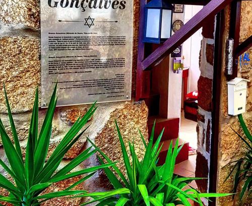 Belmonte Cabina | Branca Gonçalves Belmonte