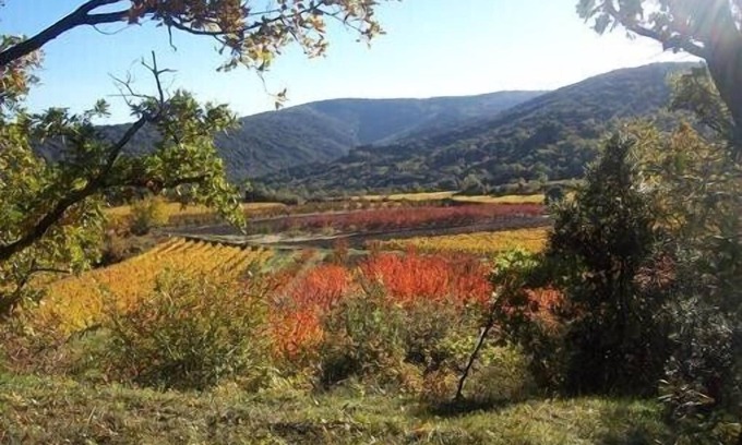 Methamis Otro | En Méthamis, casa rural en casa de campo provenzal parcialmente renovada, sur ventoux, naturaleza