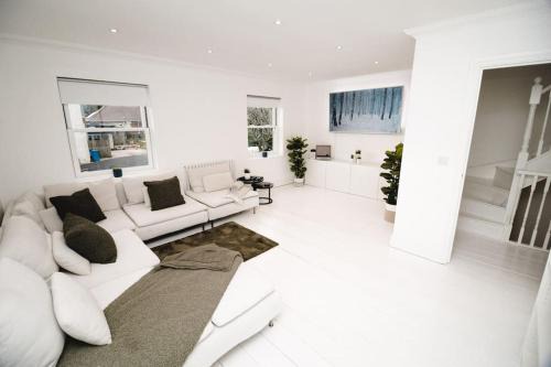 Norwich Casa | Brand New Stylish Three Story House!