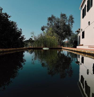 Tomar Apartamento | Breakfast Under A Tree - Apartamento and Farmhouse