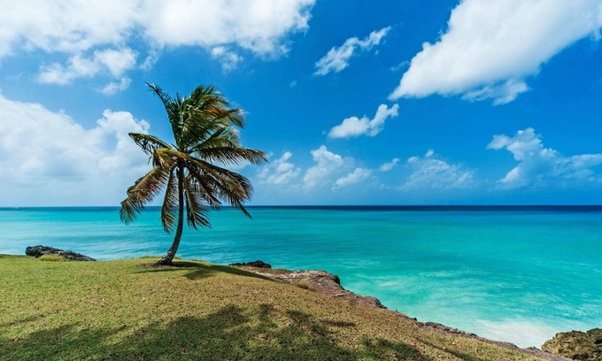 Belair Casa | Breezy Haven in Barbados, 4 minutes from Crane Beach!