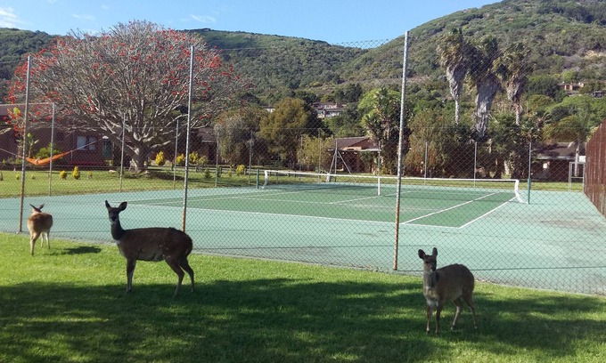 Lake Brenton Casa | Brenton Park Holiday Cottages