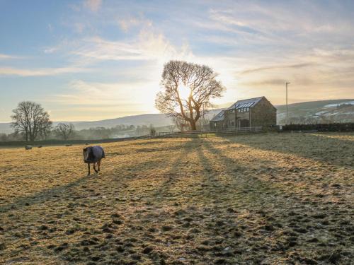 Wearhead Casa | Briar Barn