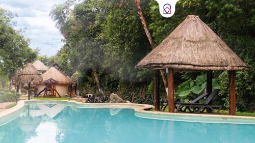 Puerto Morelos Apartamento | Bright Apt with Pool & jungle Puerto Morelos