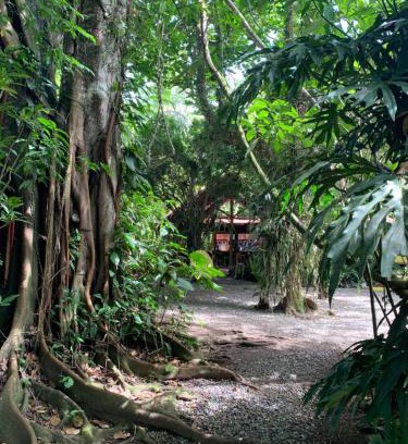 Cahuita Casa | Brigitte's Ranch