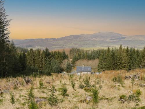 Dolgellau Casa | Brithgwm Canol