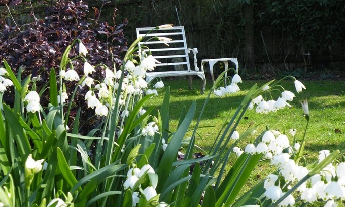 New Forest District Cama Y Desayuno | Broadlands Gate