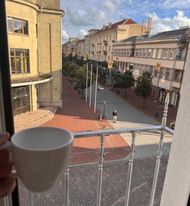 Siauliai City Center Apartamento | Broadway apartament