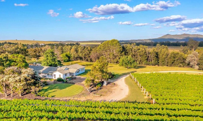 Broke Casa | Broke in the Vines