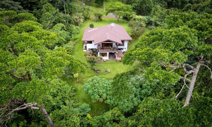 La Tigra Casa | Bromelia House