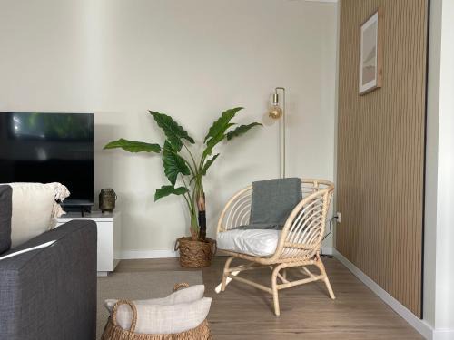 Sao Roque Casa | Brooklyn&Fennel House