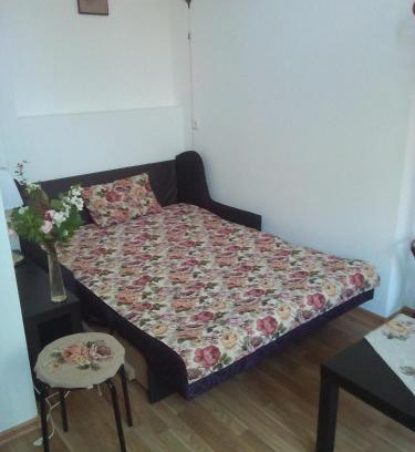Liepaja Apartamento | Brown Amber