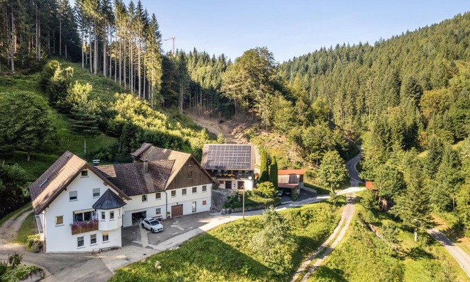Bad Peterstal-Griesbach Apartamento | Brumichelhof